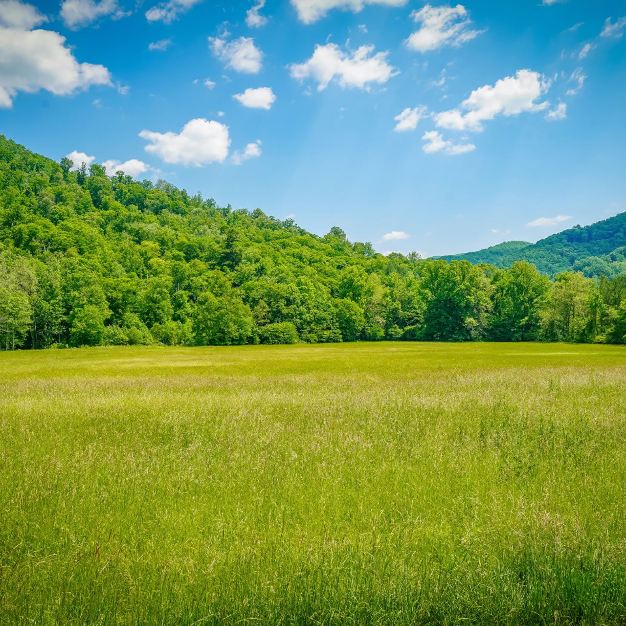 7-regularização rural unsplash_3uTGaHtWCxg